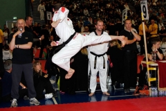 ul-ji-jump-reverse-side-kick-british-2014