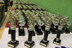 lincs-2011-trophies