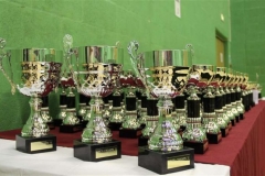 lincs-2011-trophies2