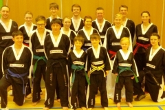 ds-taekwondo-lincs-2013