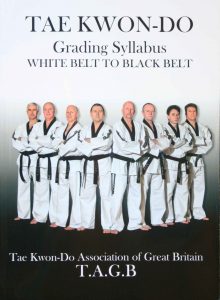 taekwondo yellow belt syllabus