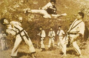 What is Taekwondo?